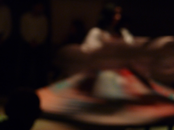 P1040644.JPG 3456x2592 index 400